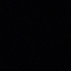 Meet your Posher, Bart